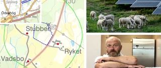 Ytterligare glassfabrikör satsar på solcellspark