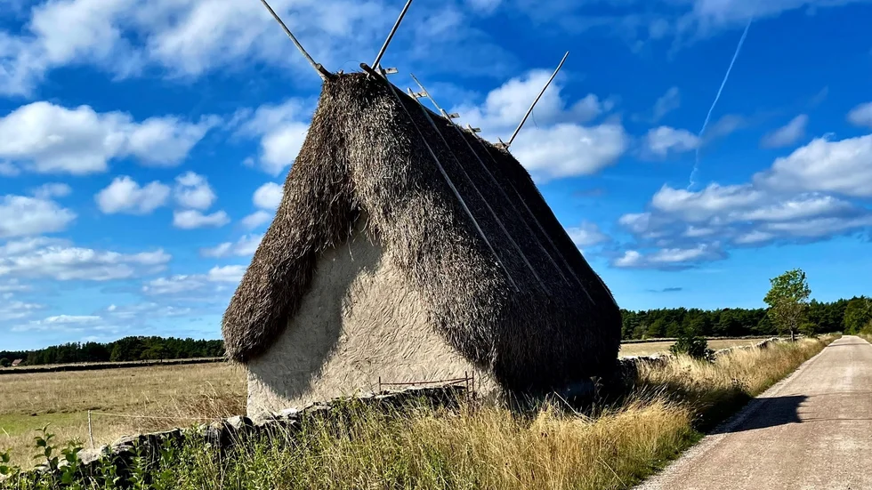 Gotländska motiv dominerar Ellen Nygrens fotoutställning "Glimtar av Sveriges skönhet" som nu hänger i Bryssel. En lambgift i Stockvike är ett av 20 foton från ön.