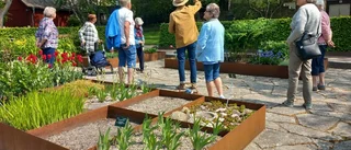 SPF Seniorerna Klinteorten i Botaniska trädgården