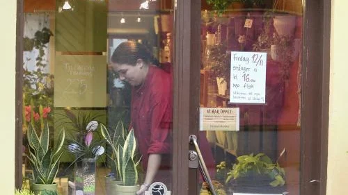 Litet skyltfönster  blir snart stort när Blomsterboden och Therese Frode flyttar tvärs över Storgatan och butiken expanderar till nära dubbla  golvytan. Bild: ÅKE KARLSSON