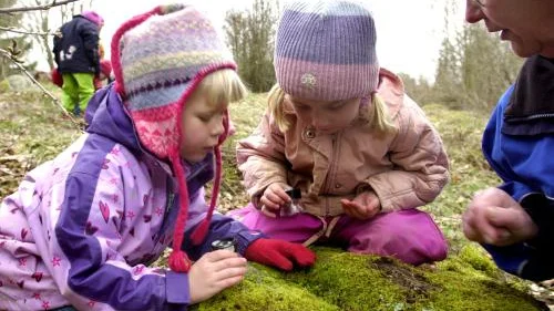 I skogsknytte ser man på naturen i stort och smått. Ebba Hansson och Hanna Bäckström får hjälp av Inga-Lill Krantz att se vad som kan dölja sig i mossan på en sten.