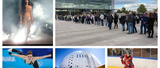 Så kan en multiarena bli vägen till en mardröm
