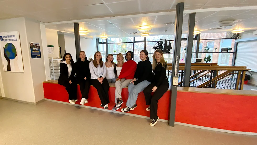 Platengymnasiets balkommitté består av: Tassnim Dawoud, Sabina Siira, Ellen Berglund, Lova Lindqvist, Filippa Gustafsson, Mona Yousef, Laqisha Radojevic, Estelle Bäckman.