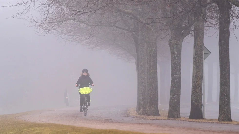 NSD:s krönikör Anna Hörnell filosoferar kring cyklandets ädla konst.
