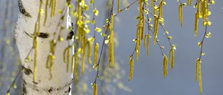 Försommarvärme i Motala och Vadstena hela veckan