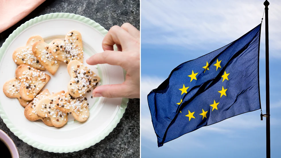 EU är överstatligt och minsta direkt står över vår grundlag, alltså kan inte Sverige plocka russinet ur EU-kakan, skriver insändarskribenten.