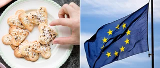 Sverige kan inte plocka russinet ur EU-kakan