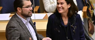 Widding vägrar lämna riksdagen
