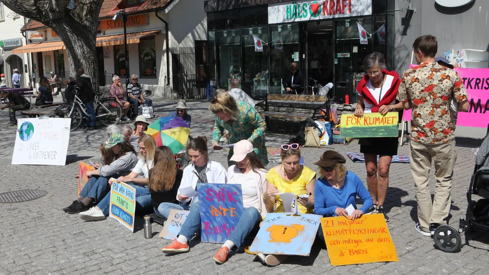 ”Vi kan protestera mot det vi tycker är galet. Reagera och kräva förändring. Att vi sätter oss ihop med Rebellmammorna på torget nästa gång de demonstrerar”, skriver Nina Rung.