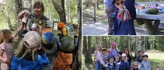 Nya äventyr i Mulleskogen     