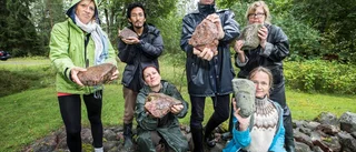 Konst med avstamp i sten