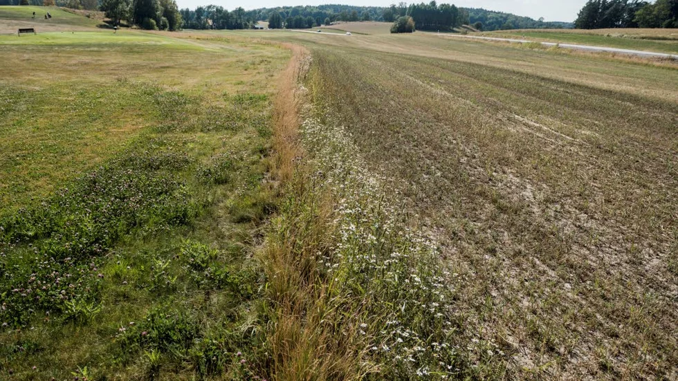 Trots att Sverige är nettobetalare till EU uteblev biståndet för torkans effekter.