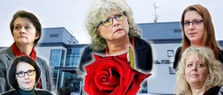 De kan bli nytt regionråd