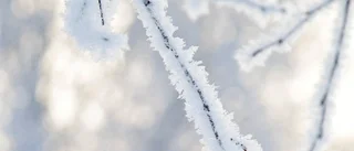 Här kommer snön och kylan i dag