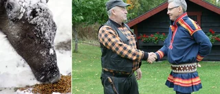 Miljonregn över rennäringen