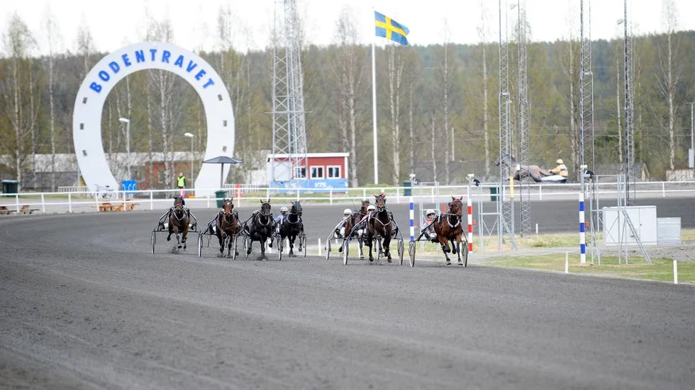 Bodentravet
