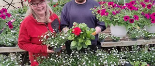 De har satt sin sista blomma – klassiska handelsträdgården säljs 