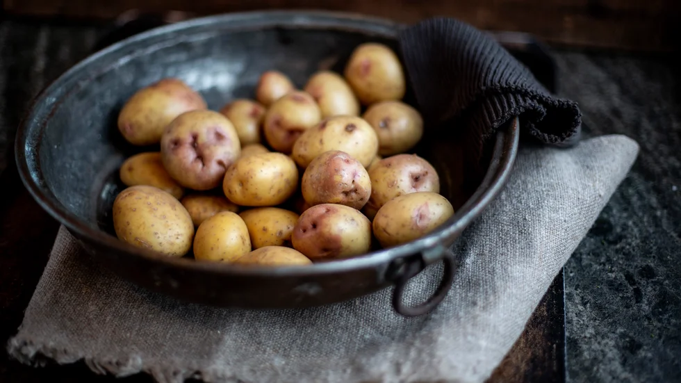 Priset på potatis, liksom vitkål, väntas stiga till följd av en torr sommar. Arkivbild.
