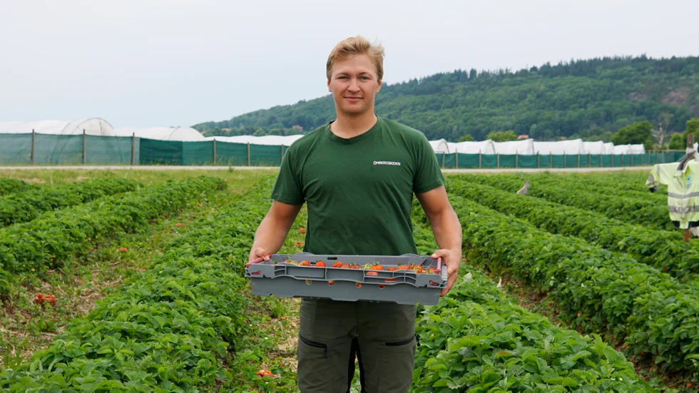 Carl Berglert, som annars studerar till agronom i Uppsala, gör sitt första år som egenföretagare. "Det är mycket att ta in och att lära sig", säger han. 