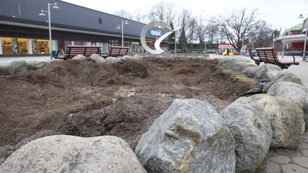 Bara en grop kvar. Järntorgets oxlar står numera på Frösängs gärde.