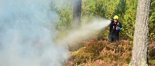 Eldningsförbud råder i Flens kommun