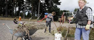 Tistlarna tar över lekplatsen