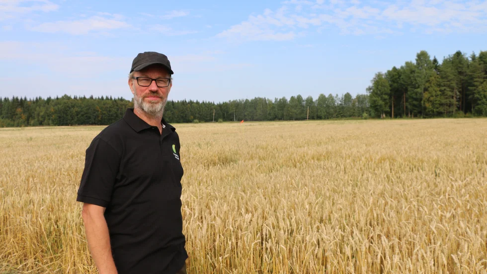 "Många här uppe har inställningen att det inte går att odla höstvete så långt upp i norr. Jag vill inte kalla det omöjligt tills jag testat", säger Jan Nilsson, försöksledare på Hushållningssällskapet i Öjebyn Agro Park.