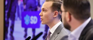 Ingen slump att SD-företrädare går över gränsen
