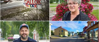 Gruvan och gröna vågen splittrar Jokkmokks politiker ✓  Partiet som inte tror på gröna vågen ✓ Motståndet mot gruvan ✓ Partiernas viktigaste valfråga