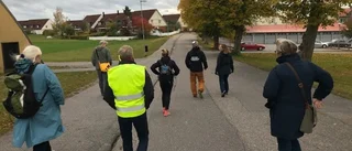 Belysning och buskage i fokus i Åker