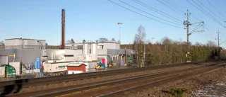 Kronfågel om varningen: "Svensk kyckling är säker"