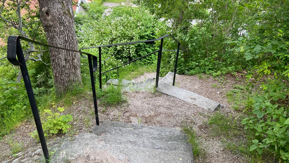 Trappan till Ekotemplet där misshandeln ska ha ägt rum strax före midnatt i onsdags.