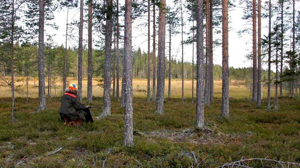 Debattören påpekar att jägarnas insatser är viktiga ur många aspekter, inte bara sett till rekreation, friluftsliv och tillgång till värdefullt kött. 