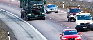 Vilt på vägen orsakade trafikstörningar på E20