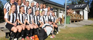 Nya Dalvallen har rest sig ur askan