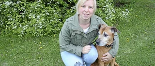 "Min stora dröm är en egen jänkare"