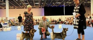Billy – vackrast i världen