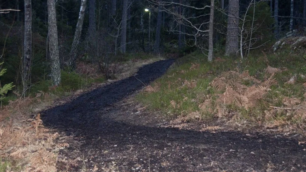 lervälling1.jpg
