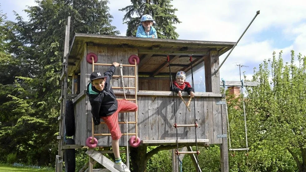 Koja Falk.jpg