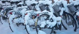 Svar om saltet på gång-  och cykelvägarna