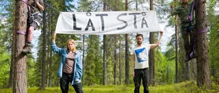 Aktivister tillbaka i omstridd skog • Den sista skogen ska inte avverkas"