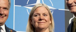 "Ryska reaktioner har varit milda"
