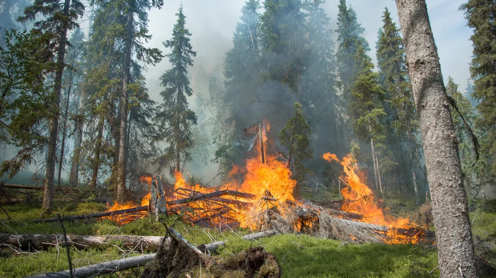 Länsstyrelsen stärker beredskapen och letar nu frivilliga som ska kunna rycka in vid bland annat skogsbränder eller krig.