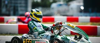Norton i kvalkrasch på EM – missade final