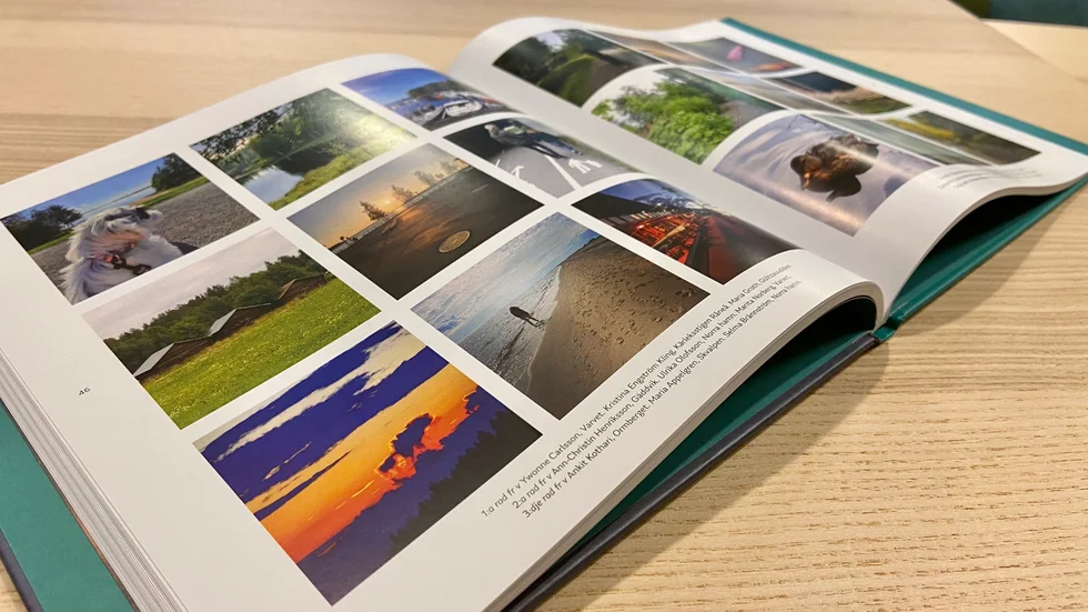 Under jubileumsåret 2021 fick Luleåborna skicka in bilder från sina promenader och drygt 300 av dessa bilder har nu publicerats i bokform. Bilderna kommer från alla delar av kommunen och från årets alla månader.