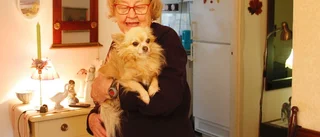 76-åriga Ann-Mari med rullator skrämde tjuvarna: "Mina släktingar tycker att jag är tuff"