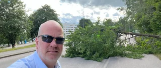 Ett träd blockerade Brandskärrsvägen i Nyköping 
