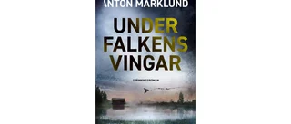 Under falkens vingar av Anton Marklund
