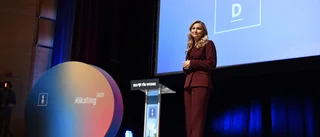Kristdemokraterna är ett motsägelsefullt parti