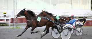 Fjärde segern av fem möjliga för nye Piteåstjärnan: "Siktar på ett lopp under Sundsvall Open-helgen"